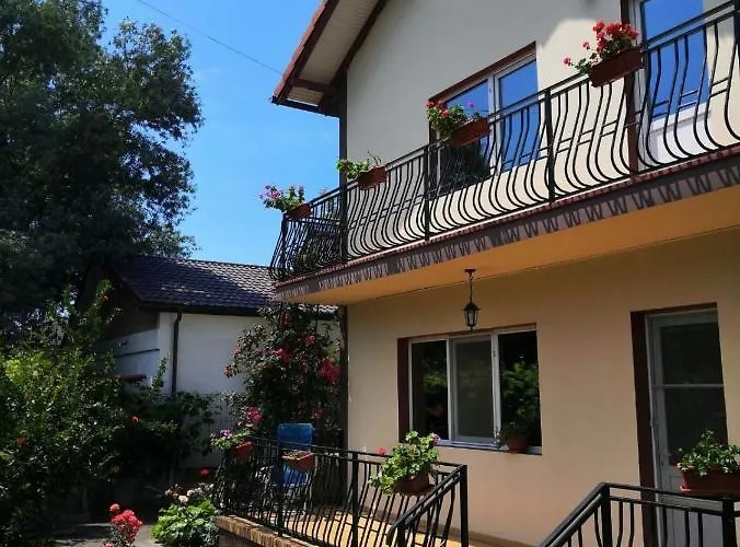 Casa Antonia Hotel Costineşti